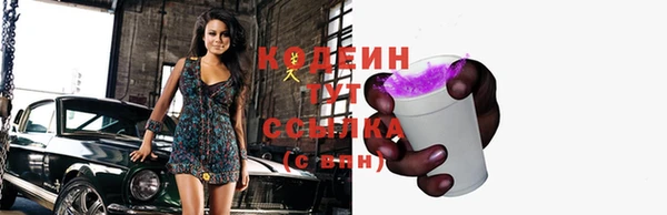 прущие грибы Балахна