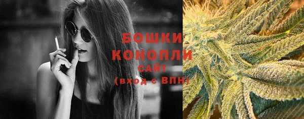 прущие грибы Балахна