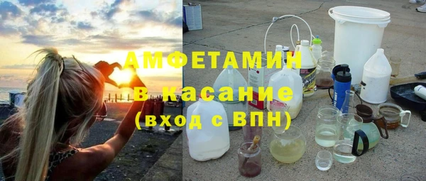 прущие грибы Балахна