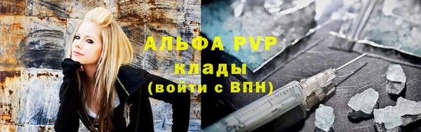 прущие грибы Балахна