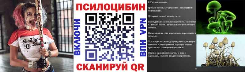 Псилоцибиновые грибы Psilocybe Ардон