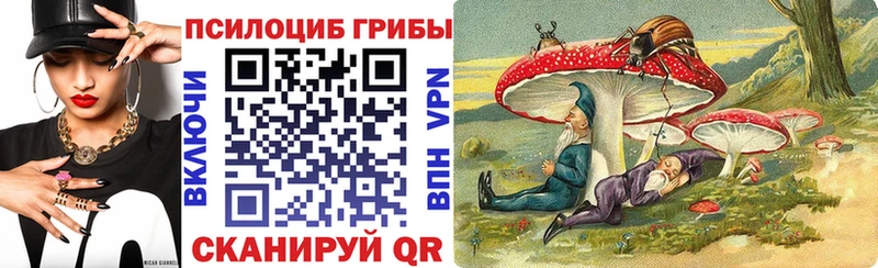 Галлюциногенные грибы ЛСД  Купить где  Ардон 